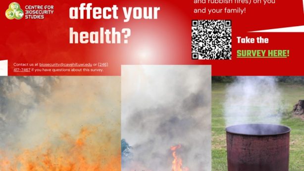 Climate, Wildfires and Your Health - Survey