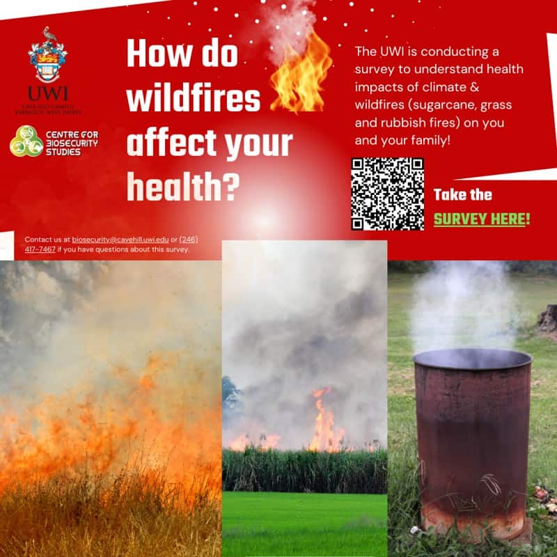 Climate, Wildfires and Your Health - Survey